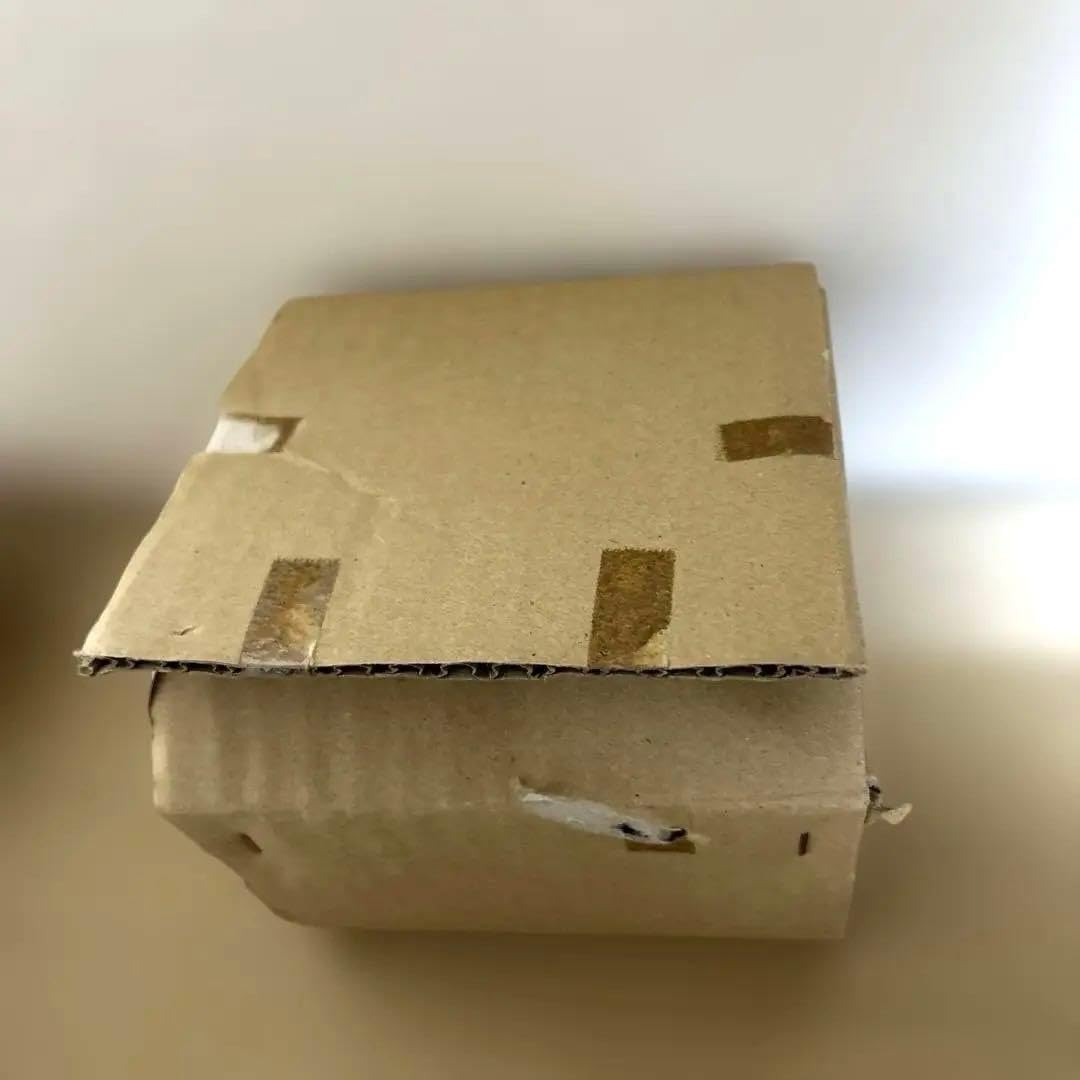Amazon.co.jp: 美濃焼 ジンベイザメと魚のデザイン皿5個セット