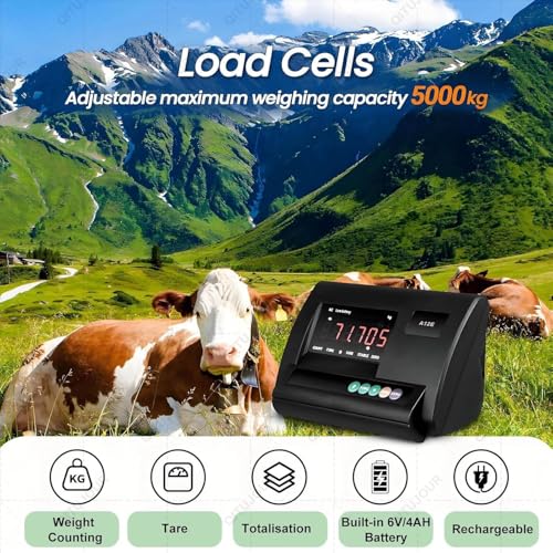 Kit Báscula Célula Carga 5T Acero Inoxidable Multifuncional miniatura 2