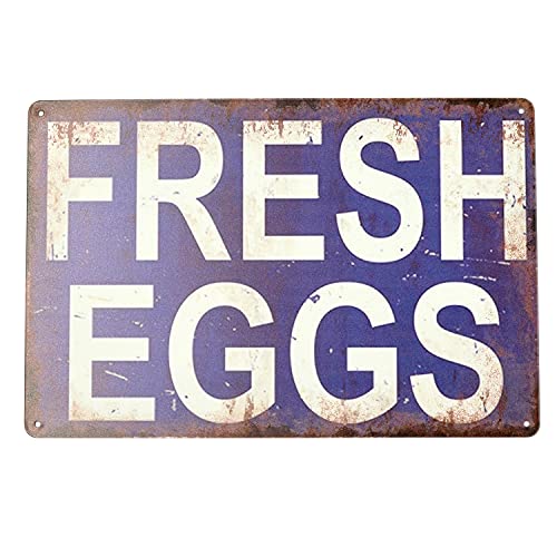 USA AJ fUCzVNȗ TC{[h Ŕ X Xg JtF Ԍ oCN K[W  re[W CeA ; AVSB-447