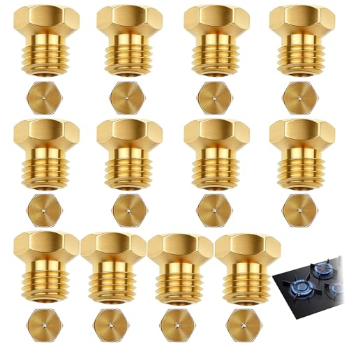 Lot de 12 Gicleur Gaz Butane Universels Pour Cuisinière, Gicleur Gaz de Ville, 6 Tailles (0.5/0.7/0.8/0.9/0.95/1.1mm)