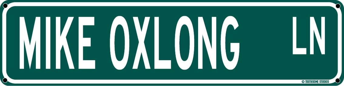 Mike Oxlong Ln Funny Inappropriate 16" x 4" Tin Street Sign Dorm Bedroom Punny Home Bar Decor (MikeOxlongStreet)