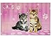 Produktbild alles-meine.de GmbH Schreibtischunterlage Katze 60 cm * 40 cm - PVC Unterlage/Knetunterlage/Schreibunterlage/Tischunterlage Kätzchen Mieze