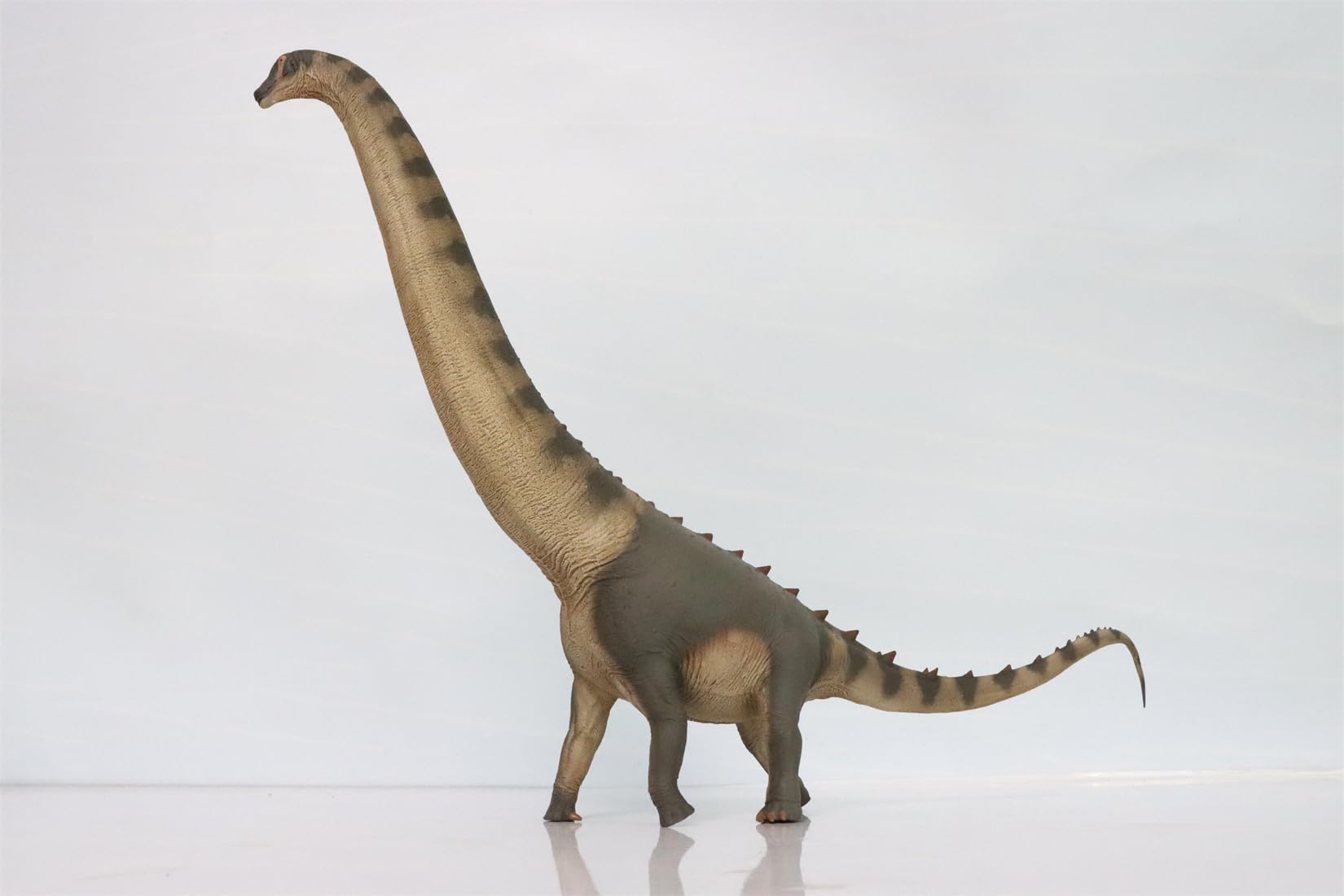 AMITD 79 Alamosaurus Model Saltasauridae PVC Animal Figure Collection Dinosaur Decor Gift for Adult