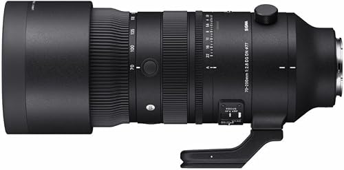 70-200mm F2.8 DG DN OS for Sony