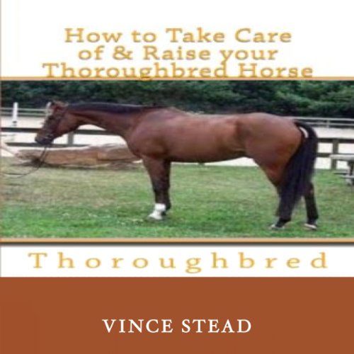 How to Take Care of and Raise Your Thoroughbred Horse