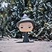 Funko Harry Potter Professor McGonagall Pop Figure