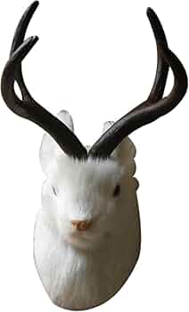 鹿の角　対　頭付き　70cm 519aDMgB29L._AC_UF350,