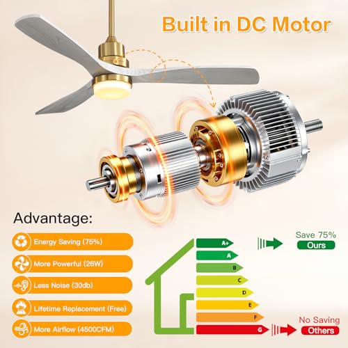 Image of Sofucor Smart Ceiling Fan, 52 inch Low Profile Ceiling Fans with Lights and Remote, Compatible with Alexa /Google /App, 3-Color Light 6-Speed DC Motor Reversible Timer for Bedroom Living Room Patio Outdoor