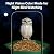 Kingsyard by Titto Solar Smart Bird Feeder with Camera, Bird Feeder Camera with AI Identify Birds Species & 2K HD Live View, Auto Capture Videos, Green (Pole Included)