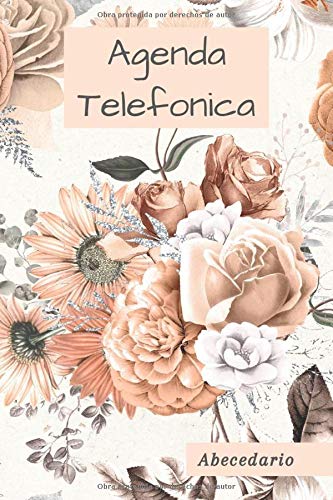 Agenda Telefonica: Libreta de Direcciones, abecedario A5 17x22, guarda tus direcciones, correos electrnicos, nmeros de telfono, medios sociales, ... contraseas de regalo originales y perfectas.