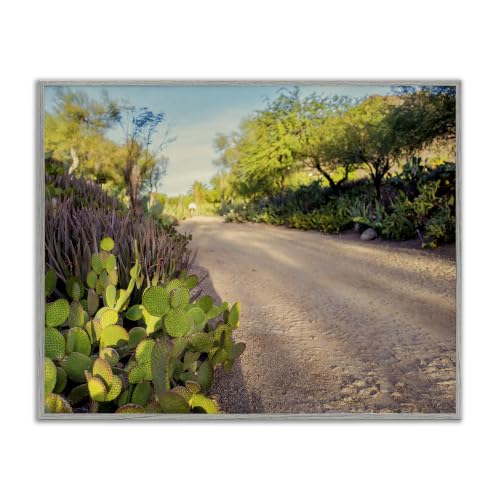 Roadside Cactus Botanical Landscape, 16 x 20 Inch Framed Giclée Print