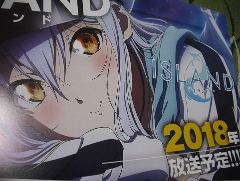 Amazon Island アイランド 御原凜音アニメ放送決定 チラシgごぉ 空中幼彩 Pcゲーム Feel Frontwing フロントウイング 18年 アニメ 萌えグッズ 通販