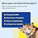 Doctor By FELYSIN L-Lysine for Cats Lickable Immune Support Supplement Allergy Relief, Sneezing, Runny Nose, Cold, Watery Eyes Respiratory Health with Beta-Glucan & Taurine – 30 Individually Packaged