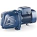 Elettropompa Autoadescante 1,5Hp JSW m2A Acciaio 220V Pompa Acqua Pedrollo