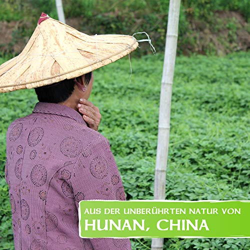 Tausendkraut Premium Jiaogulan - 100 g - verse oogst 2021 - onsterfelijkheidskruid - duurzame wilde groei teelt - hoge… - Afbeelding 6