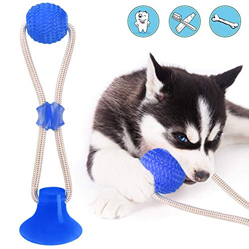 GixTimeed Palo Molar de Dientes de Limpieza Resistente a mordidas, Juguete para Masticar Mascotas con Ventosa Cover