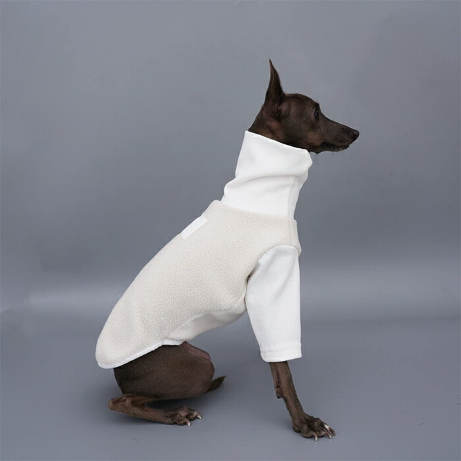 Amazon | イタグレ服 イタリアングレーハウンド 服 ハイネックTシャツ