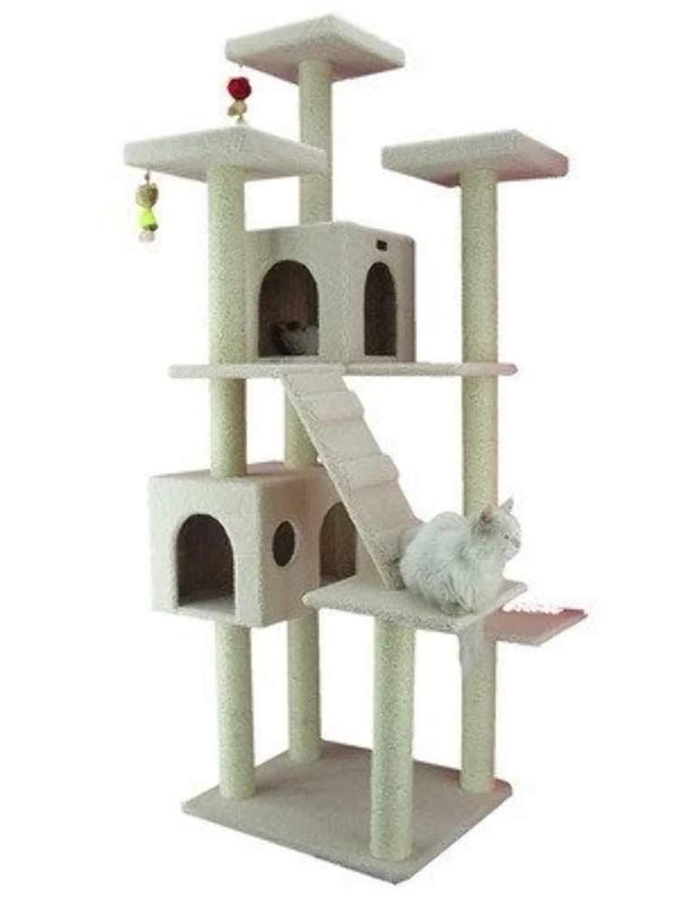 cheapest cat condos