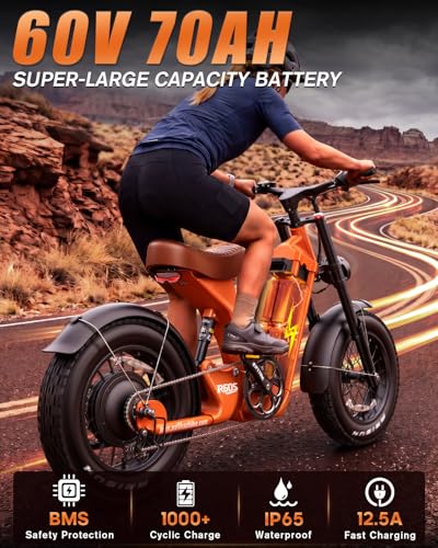 Electric Cargo Bike Long Range