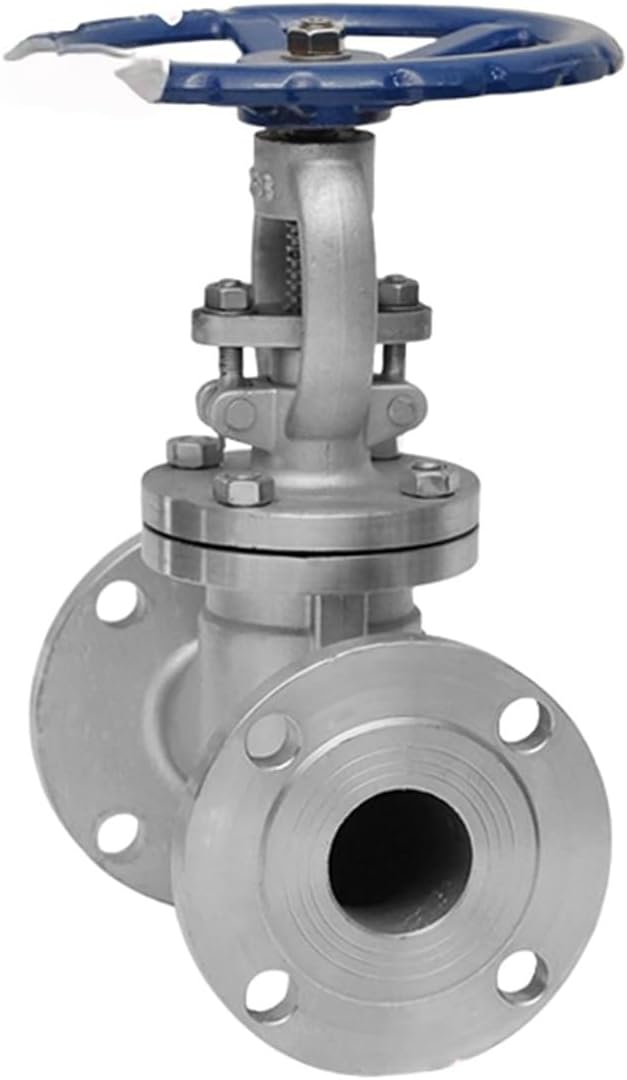 304 Stainless Steel Flange Globe Valve J41W-16P | High Temperature Steam Plunger Balance Shut-Off Valve | 2 Inch DN50(DN32 316)