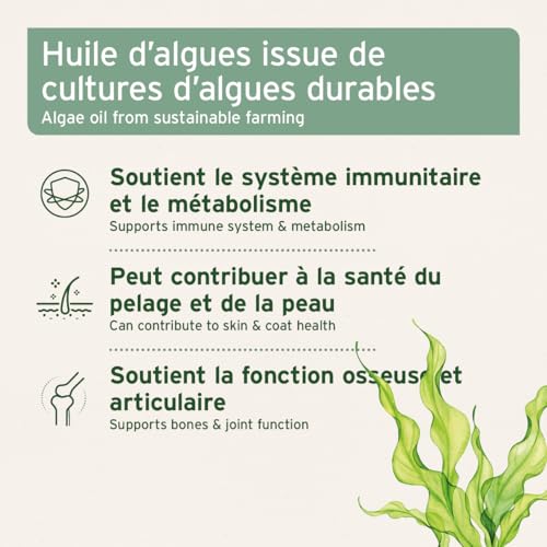 Huile d'algues AniForte Chiens et Chats 50 ML – Huile végétalienne hautement concentrée en oméga-3 Issue d'algues, favorise Les articulations, Le métabolisme, Le Pelage et la Peau – Image 3