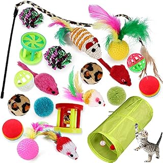 21 Pcs Cat Toys for Indoor Cats Adults Tunnel Interactive Feather Teaser Wand Ball Toy for Kitten