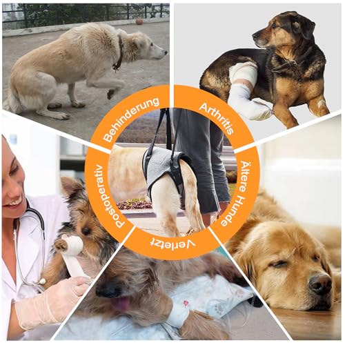 Hundehebegeschirr, Verstellbare Tragegeschirr Hund, Hundegeschirr Grosse Hunde Mit Schwammgriff, Tragbares Hundegeschirr für die Hinterbeine Kranke Oder Operierte Hunde
