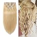 Double Weft 100% Remy Human Hair Clip in Extensions 10''-22'' Grade 7A Quality Full Head Thick Short Straight 8pcs 18clips(10" / 10 inch 100g ,#24 Natural Blonde)