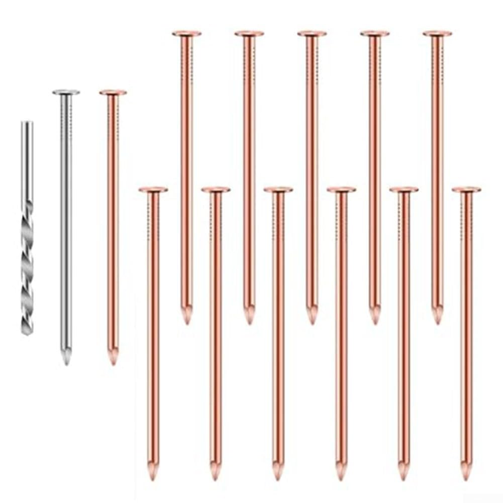 3.5-Inch Pure Copper Nails for Effective Tree Stump Removal, Long Lasting Stump Killer Spikes with Cobalt Drill, Easy Application and Deep Penetration to Stop