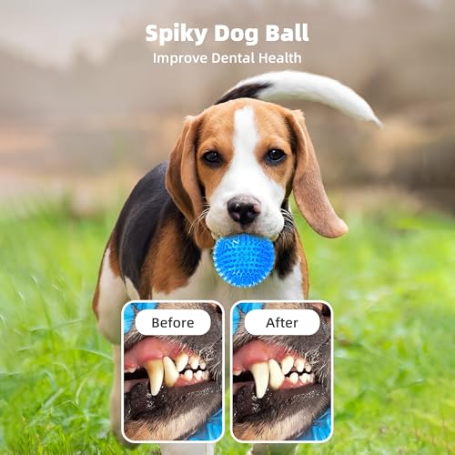 6 pelotas mordibles con sonido para perros medianos miniatura 4