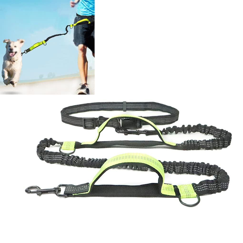 Guinzaglio per Cani da Corsa Guinzaglio per Cani Regolabile Cintura da Passeggio Guinzaglio Cintura per Cani Guinzaglio per Cani a Mani libere Doppio telescopico Riflettente per Cane Verde Chiaro
