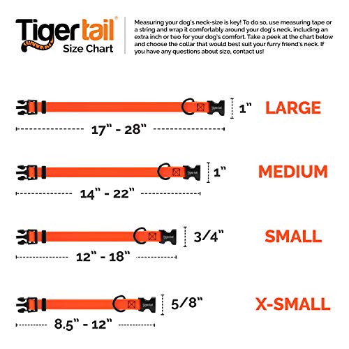 Tiger Tail Urban Nomad Dog Collar | Waterproof, Odor Proof, Durable, Anti-Mat & Lightweight | Premium Coated Nylon | For Large, Medium & Small Breed Pets| Teal, X-Small #TOP4