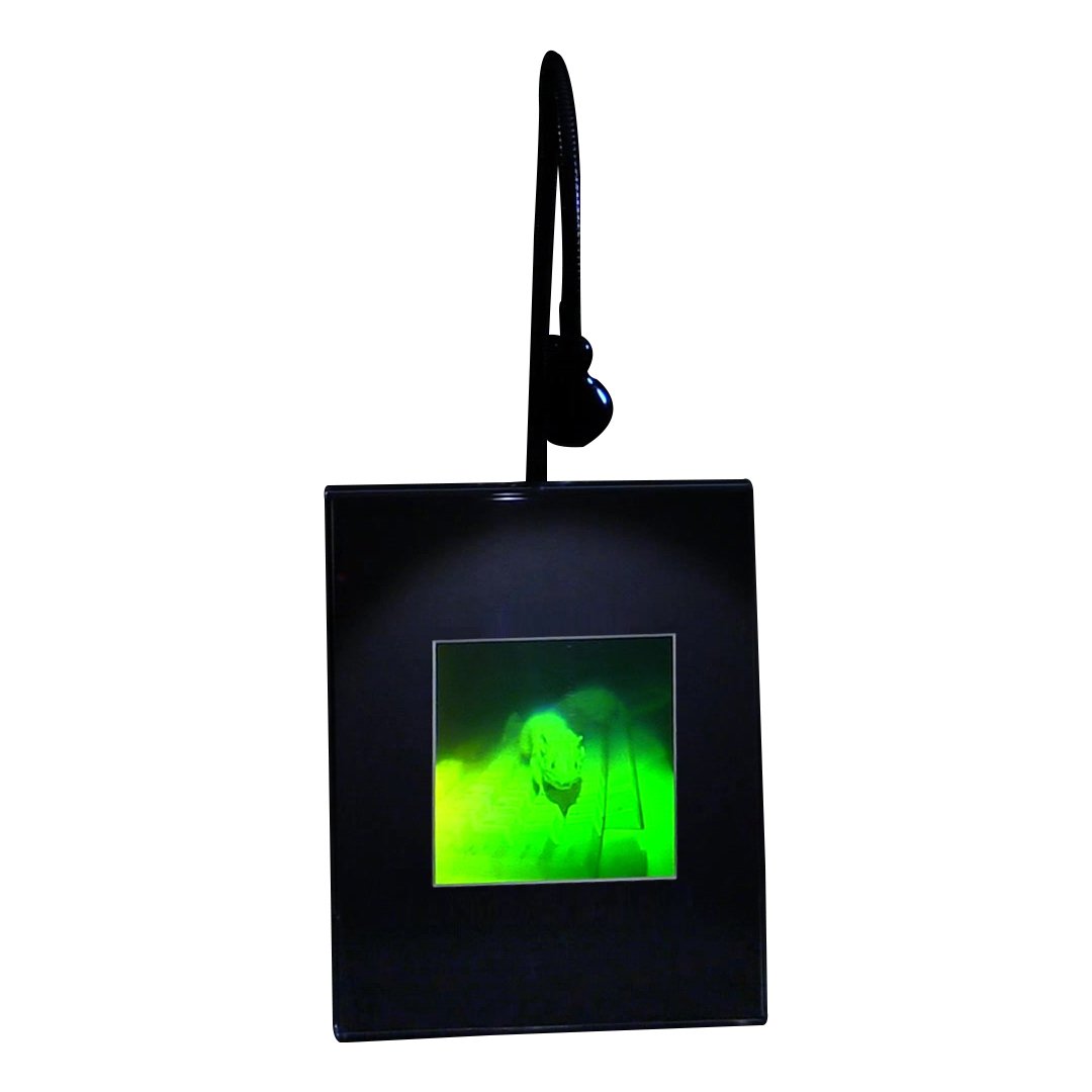 3D Mouse Multi-Channel Hologram Picture (Lighted Desk Stand), Collectible Photopolymer Film