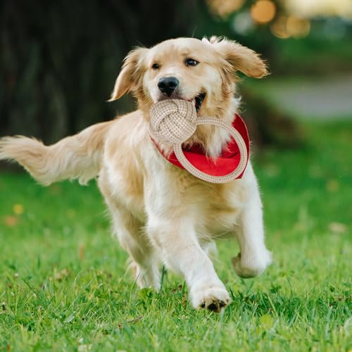 Yamitora 4 Stück Hundespielzeug Seil, Kauen Hundespielzeug Set, Baumwolle Interaktives Zerrspielzeug Hund Kauspielzeug für Kleine und Große Hunde