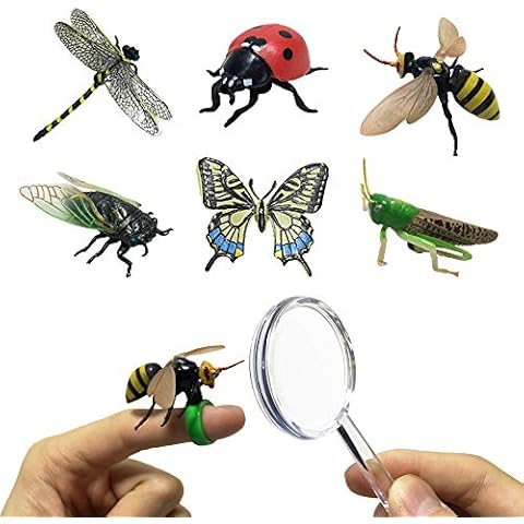 JOLLY SWEETS Pretend Insect Bug Figures Toys Set, Finger Ring Bug, Magnifying Glass, Dragonfly, Butterfly, Grasshopper, Bee, Ladybird, Cicada, Realistic Pretend Play Toys 6 Pcs.. Cover