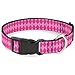 Buckle-Down Plastic Clip Collar - Argyle Pink/Fuchsia/Blue - 1/2