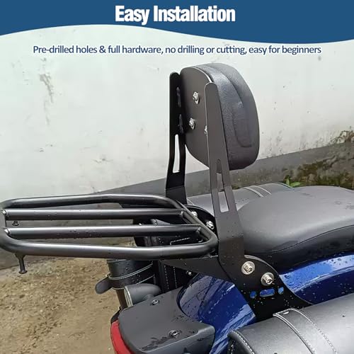 XUYUZDQ Detachable Sissy Bar with Rack