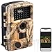VisorTech Wildtierkamera: WLAN-Full-HD-Wildkamera mit 120°-PIR, Nachtsicht, 6 Mon. Stand-by, App (Wildtierkamera Nachtsicht, Nachtkamera Tiere, IP)
