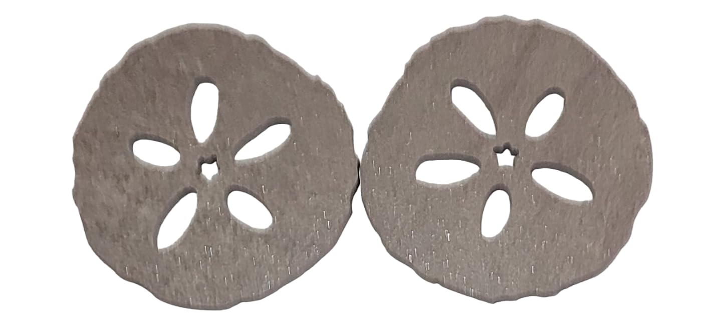 Aquatic Custom Tile Sand Dollar Porcelain Swimming Pool Step Marker Mosaic (4