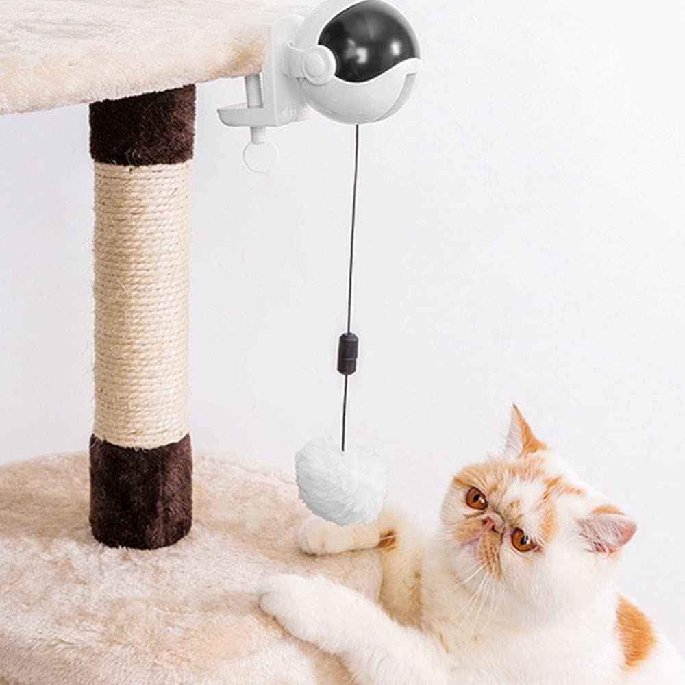 Jouet pour chat interactif GANDUNQIjouet pour chat | jouet de levage Yo-Yo | ballon rotatif électrique à levage automatique | jouets drôles pour animaux de compagnie | rose/blanc (sans batterie)-white