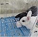 Meow&Woof Lava-Blöcke, große Kaninchen, kleine Tiere, Schleifzähne, Hamster, Kalzium-Kauspielzeug, Haustier-Kausteine für Chinchilla, Meerschweinchen, Ratte, Hase, 6 Stück