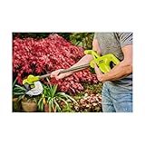 Zoom IMG-2 confezione ryobi tagliabordi 18v oneplus Zoom IMG-2 confezione ryobi tagliabordi 18v oneplus