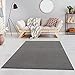 Fashion4Home Tapis de salon uni - Tapis uni pour chambre d'enfant, chambre à coucher, bureau, couloir et cuisine - Tapis à poils courts gris clair - Dimensions : 80 x 150 cm