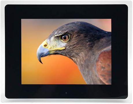 Digitaler FotoRahmen 10-Zoll mit Acryl-Rahmen MP3MP4-Player-Multi-Funktion-WerbeMaschine elektronischer Bilderrahmen UnterStAtzen Musik-Video-Takt KalenderBlack Digitaler FotoRahmen 10-Zoll mit Acryl-Rahmen MP3MP4-Player-Multi-Funktion-WerbeMaschine elektronischer Bilderrahmen UnterStAtzen Musik-Video-Takt KalenderBlack