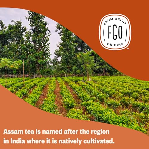 Image of FGO Organic Assam Tea, 100 Count, Eco-Conscious Black Tea Bags, Resealable Bag, Packaging May Vary (Pack of 1)