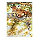 ✅ 【 ¿Qué incluye?】Juego de pintura de gemas en diseños coloridos, cada juego de pintura de diamantes por números niños contiene 1 lienzo impermeable de pintura transparente, 1 bolígrafo adhesivo de diamante, 1 arcilla adhesiva y 1 placa de diamante, herramientas adecuadas y conveniente para tus proyectos de manualidades adultos. Ofrecemos 30 días de garantía de devolución de dinero -24 meses de garantía.