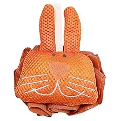 Little Orange Rabbit