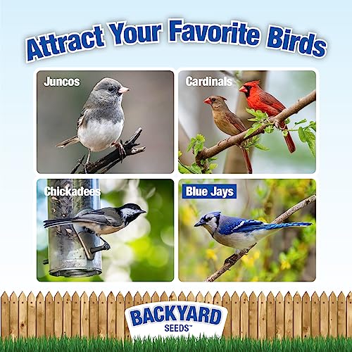 CountryMax-Backyard-Seeds-Black-Oil-Sunflower-10-Pounds CountryMax Backyard Seeds Black Oil Sunflower 10 Pounds