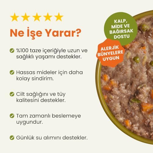 Kito Fresh Somon Etli Köpek Yemeği%100 Taze İçerikli Mama 250 gr - Görsel 2