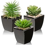 Industrial Succulents Plants in Potted Artificial Succulents Plants in Black Ceramic Pot for Home Office Bathroom Rack Living Room Decor,3 Pcs